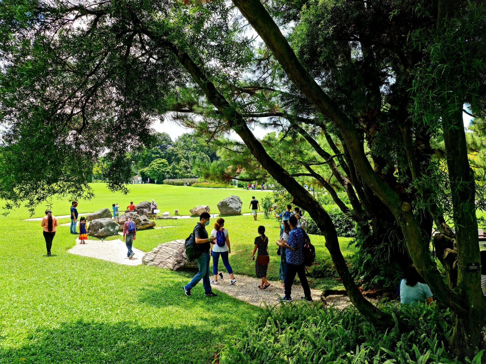 People walk on paths in a green park with large trees and grassy lawns.